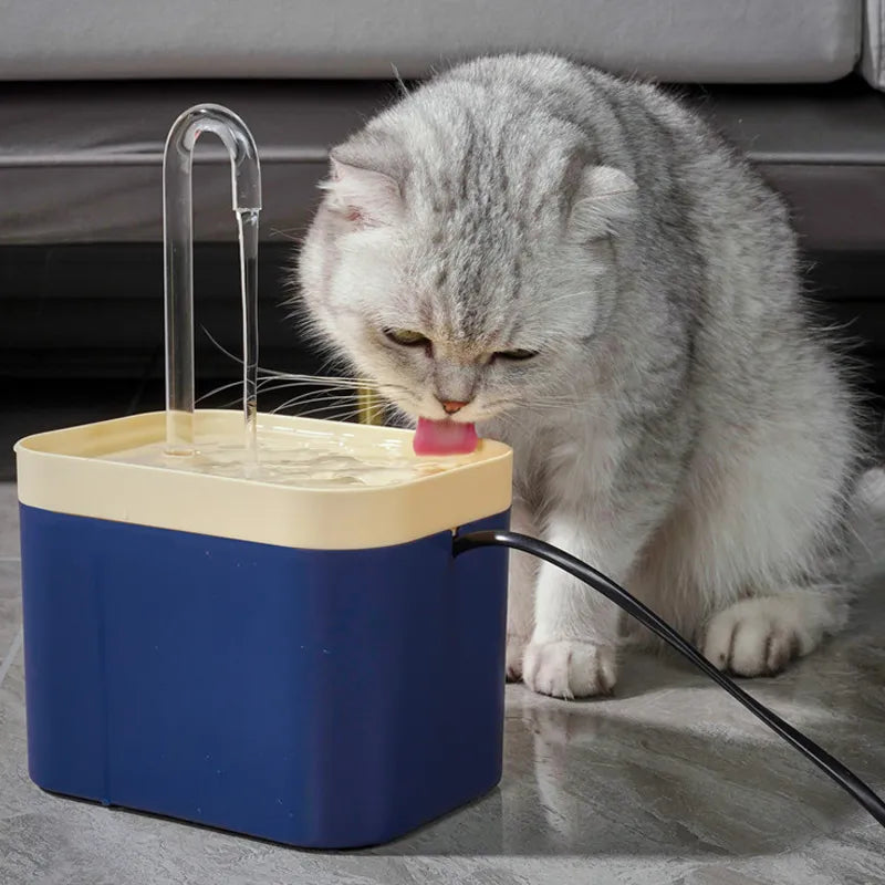 RealCatNow™ Fontana Automatica Per Gatti